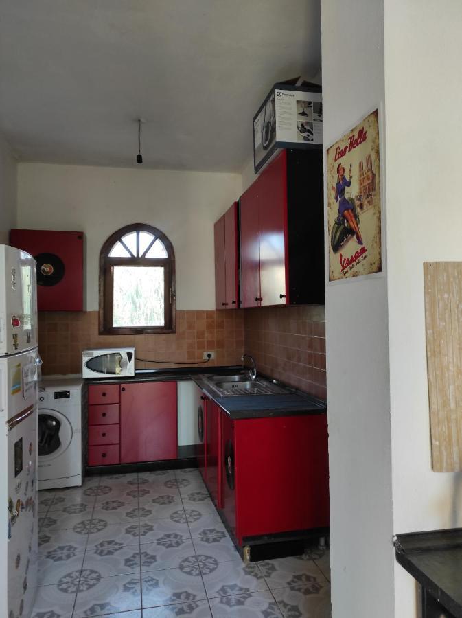 Pinegroove Hostel Vlora 외부 사진