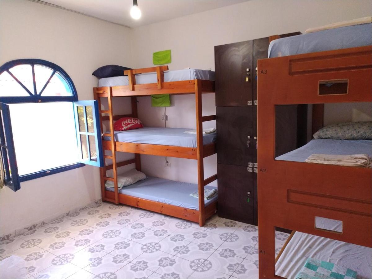 Pinegroove Hostel Vlora 외부 사진