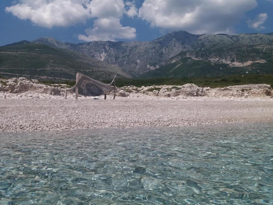 Pinegroove Hostel Vlora 외부 사진