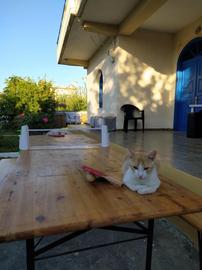 Pinegroove Hostel Vlora 외부 사진
