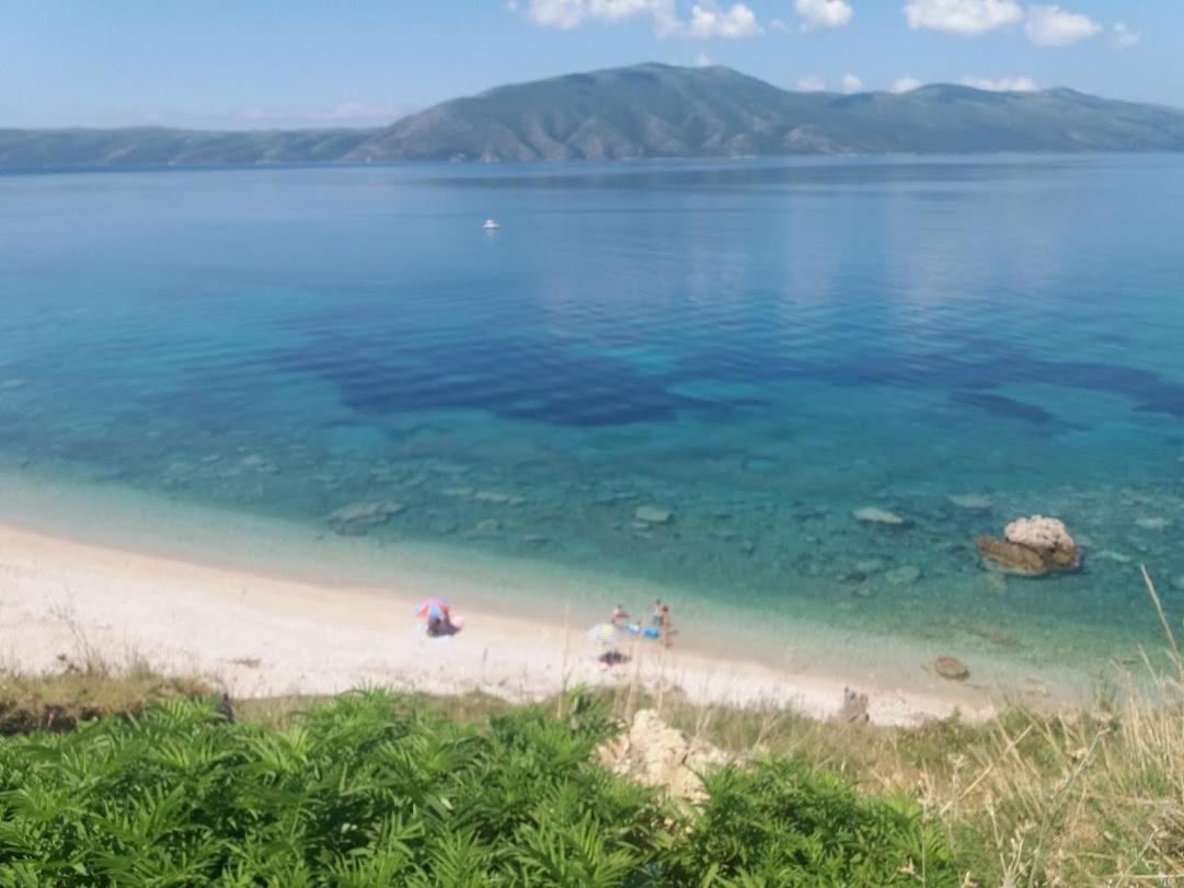Pinegroove Hostel Vlora 외부 사진