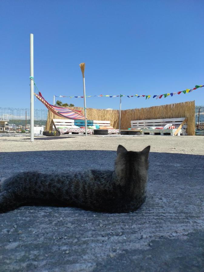 Pinegroove Hostel Vlora 외부 사진