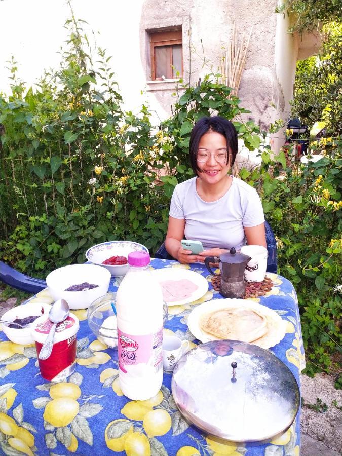 Pinegroove Hostel Vlora 외부 사진